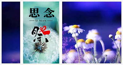 清明表思念  網上祭英烈
