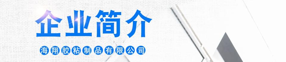 東莞海翔之星簡介